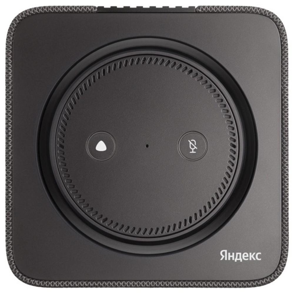 Умная колонка Яндекс Станция Макс Zigbee графит