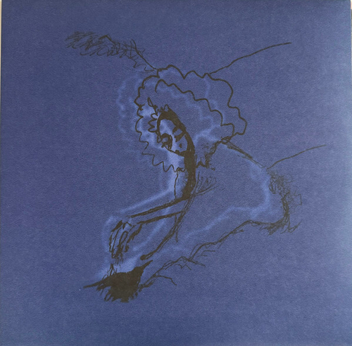 Polar Bear - Dim Lit - 20th Anniversary Black 2LP