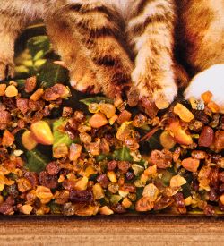 AMB-71/51 Картина «Дружная семейка кошек и собак» (с янтарной крошкой) дер.краш.рамка 21х30