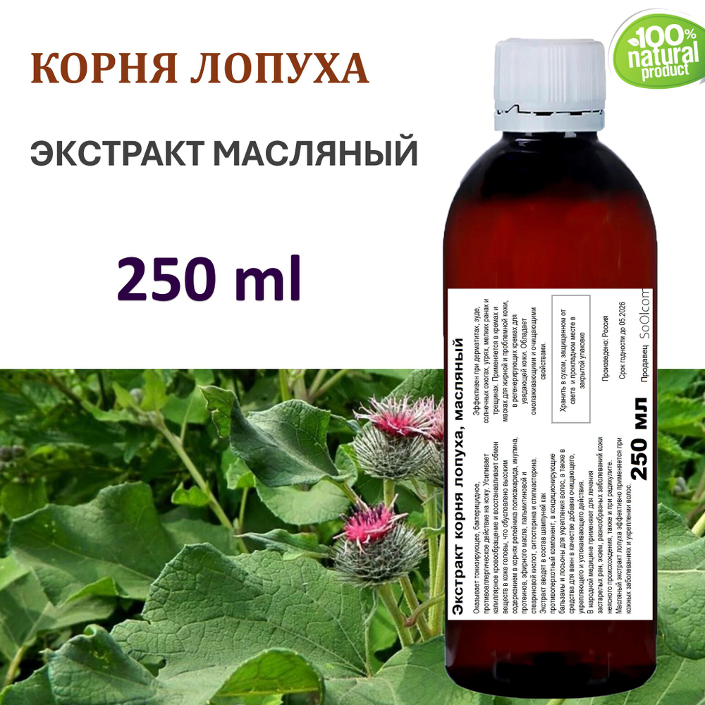 Экстракт корня лопуха, масляный