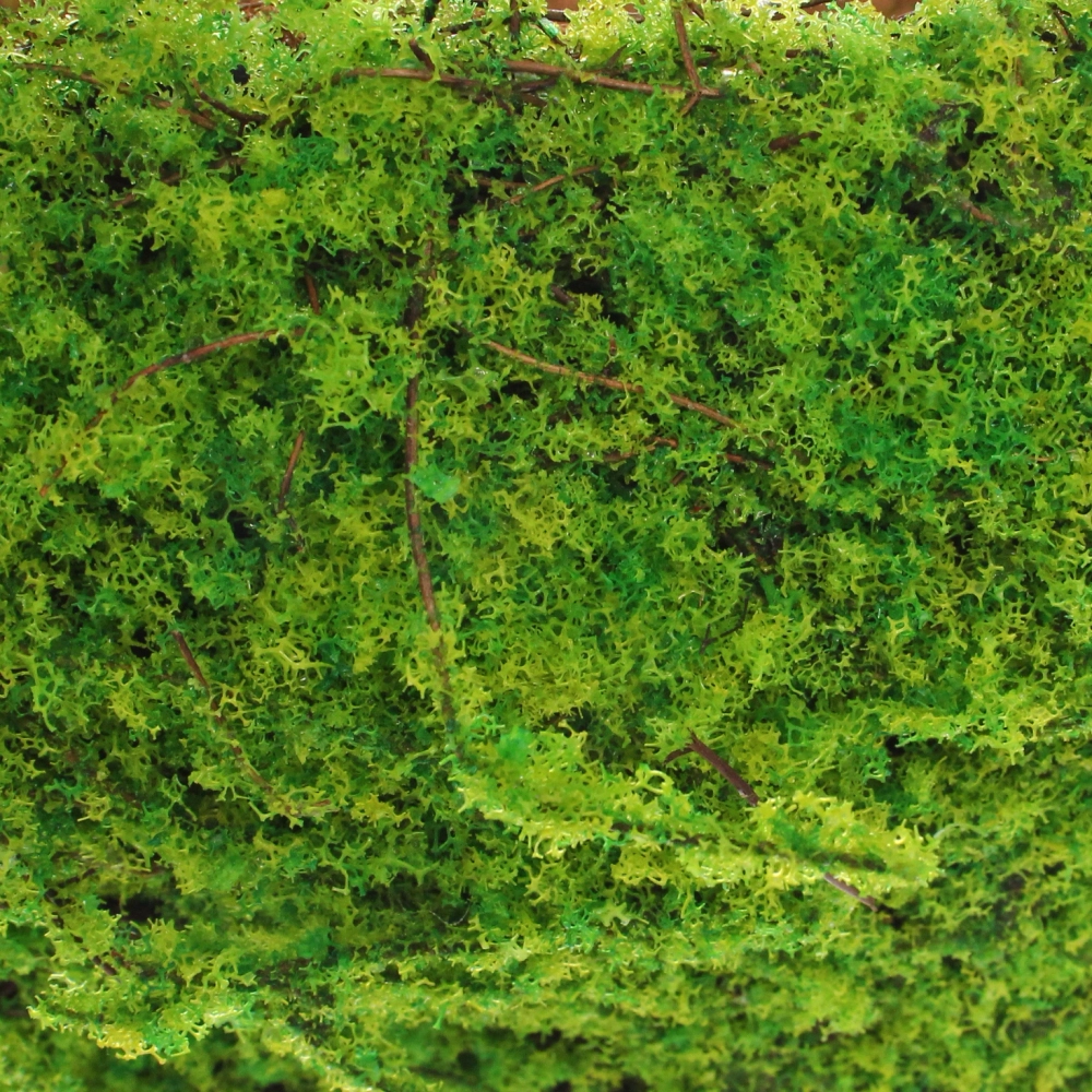 Кашпо для цветов «Сфагнум» с кокосовым волокном, настенное d=25см, мох