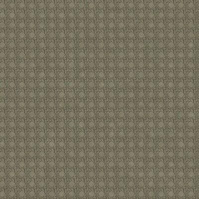 Обои виниловые на флизелине Casadeco Cuba арт. 8434 75 45 CBBA