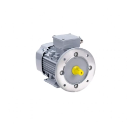 Электродвигатель ESQ PR 355 MA6-SDN-Б1-S12-IE3 160/1000 IMB35