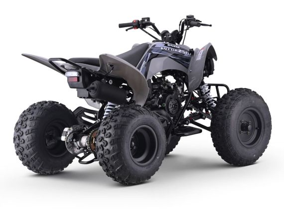 Квадроцикл SHARMAX Raizer Race Cup 250