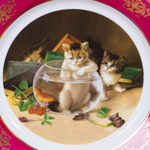 Декоративная тарелка «Любопытные котята»