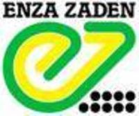 Enza Zaden