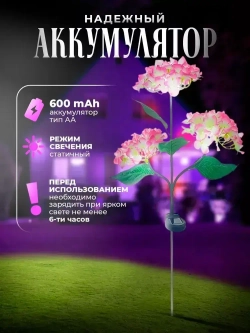 Гортензия на солнечной батареи