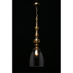 Подвесной светильник Aployt Rena APL.602.16.01