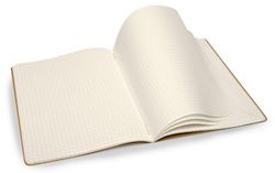 Блокнот Moleskine Evernote XLarge 190х250мм 120стр картон клетка бежевый 2шт (SKQP422EVER)