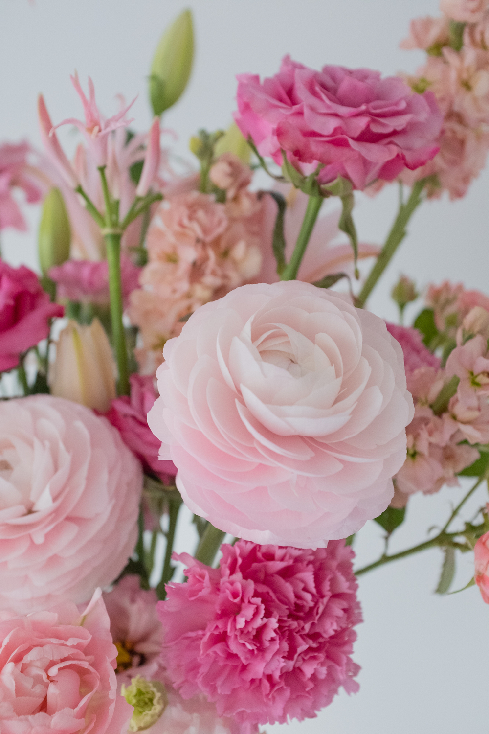 Нежность / ○ Ясность