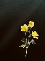 Футболка LCLS. x Гербарий Лютик черная