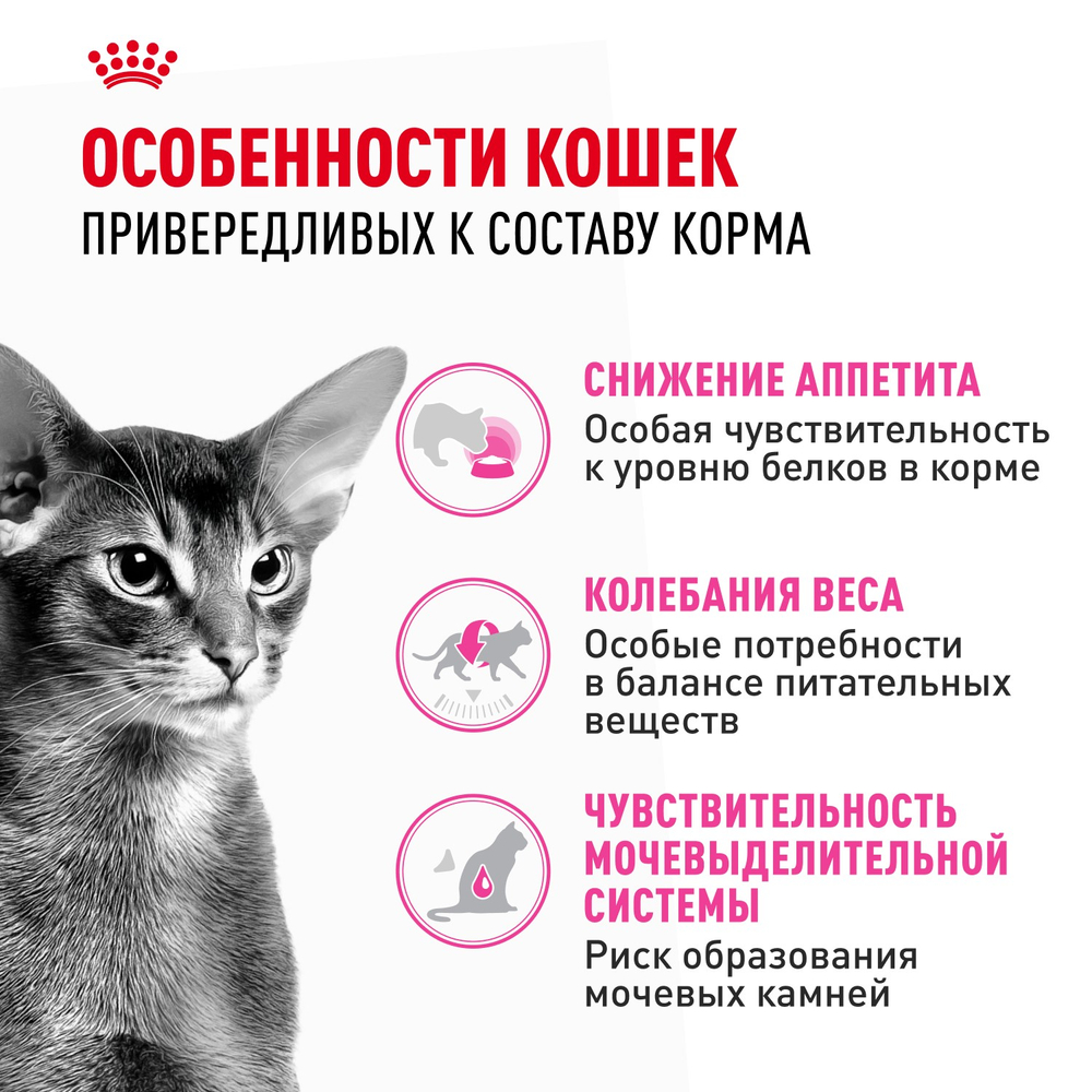 Royal Canin Protein Exigent Протеин Экзиджент Корм сухой для взрослых кошек привередливых к белку в составе старше 1 года 400г