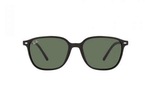 RAY-BAN LEONARD RB2193 901/31