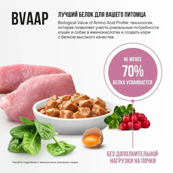 Пауч BOWL WOW для здоровой кожи и шерсти кошек с индейкой и шпинатом, кусочки в соусе