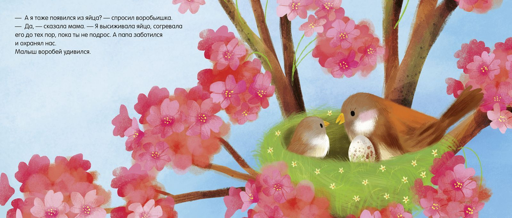 Книжки-картонки. Братишка для воробьишки.