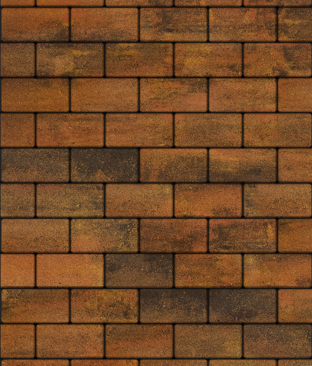 Тротуарная плитка ВЫБОР, форма Прямоугольник 100*200, h=80мм