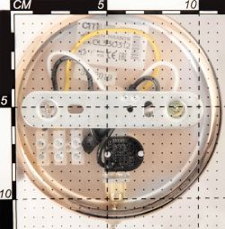 Citilux Синди CL330312 Бра хрустальное с выключателем Золото