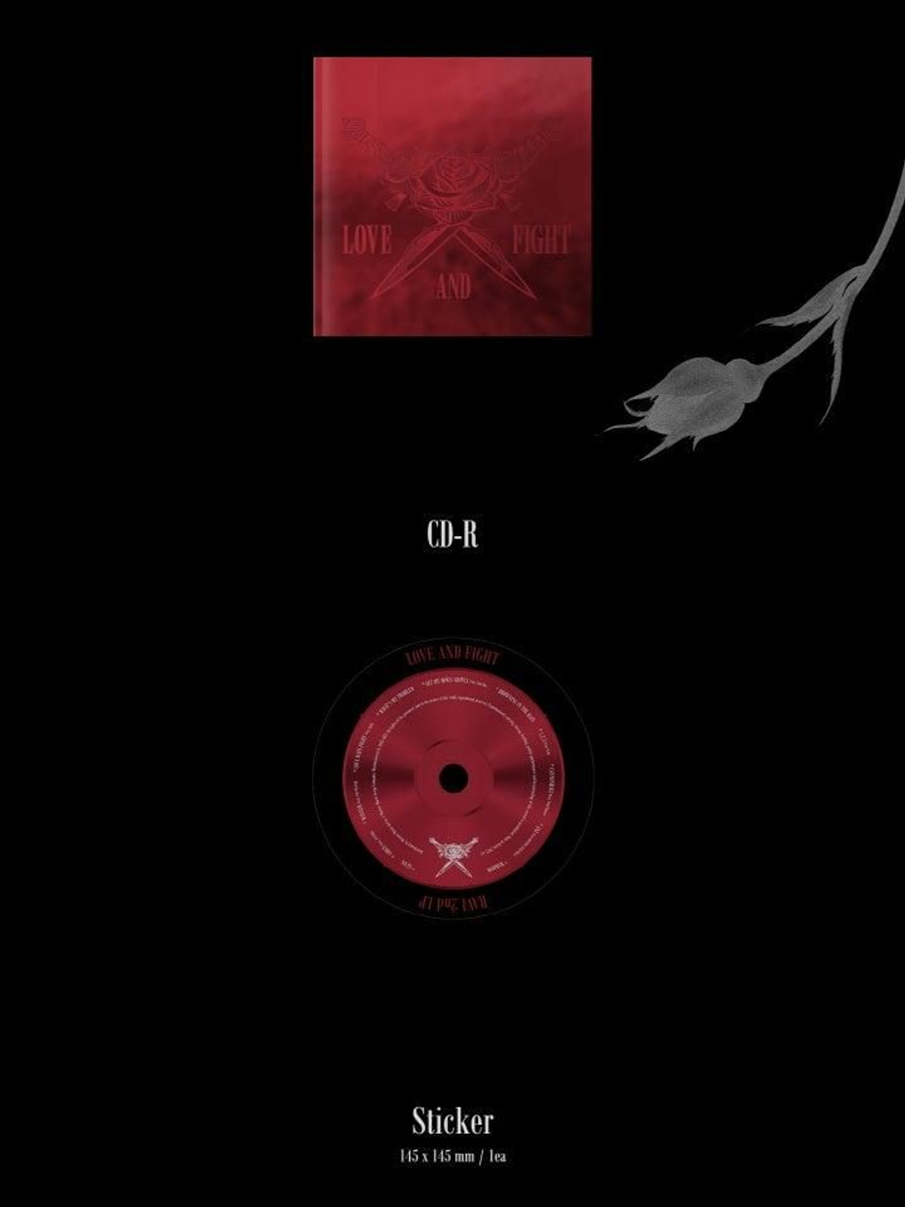 Альбом RAVI - LOVE & FIGHT 2nd Album