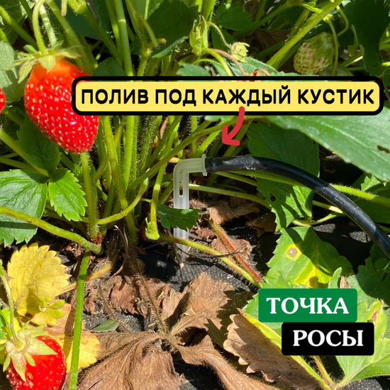 Комплект капельного полива ТОЧКА РОСЫ ПРОФ на 40 растений