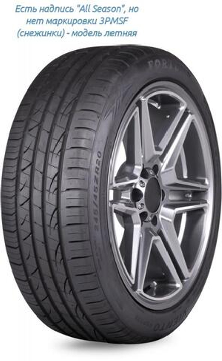 Fortune Viento FSR702 255/45 R20 105Y