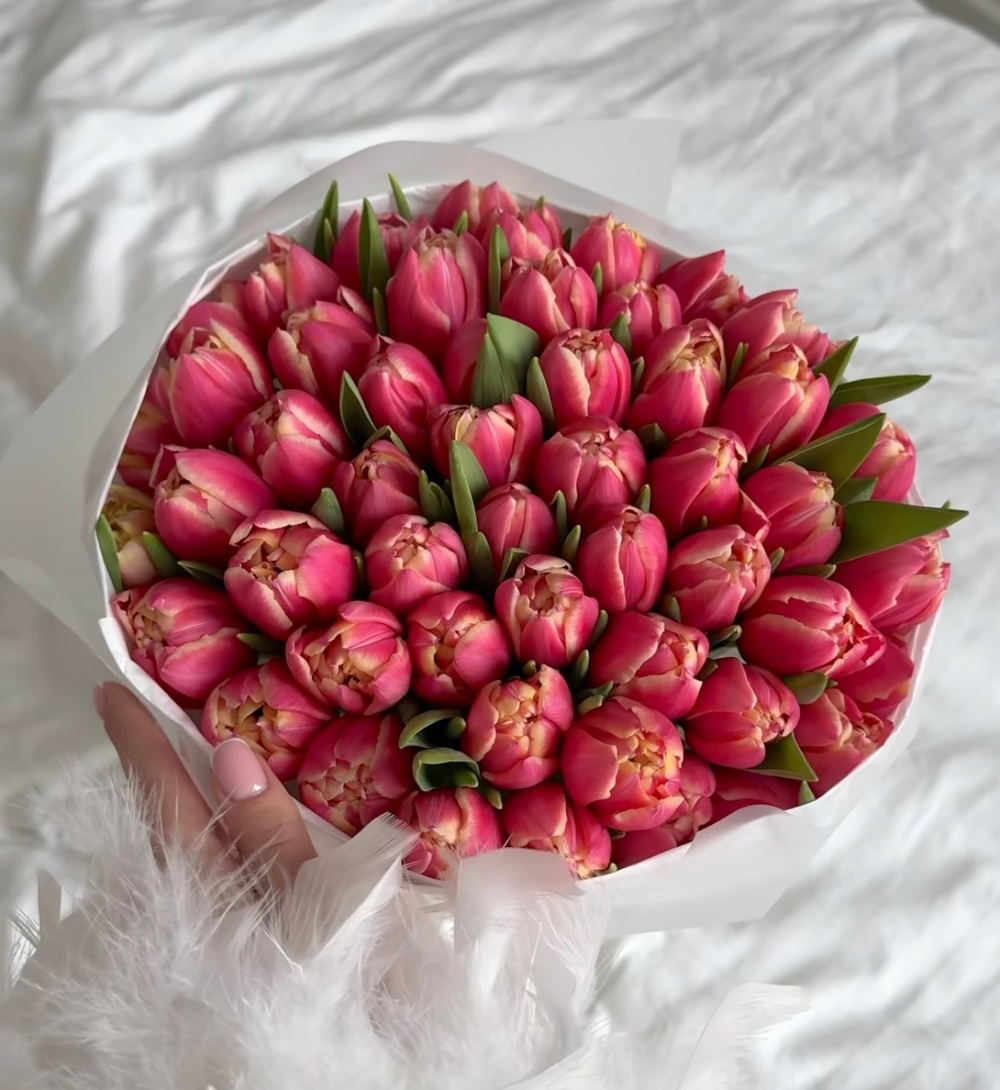 51 Пионовидный тюльпан коламбус