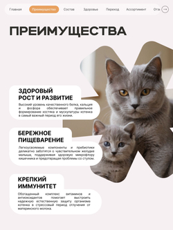 Корм сухой для котят породы Пекинская плоскомордая, с индейкой, 400 гр, QUATTRO