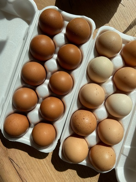 Яйцо куриное деревенское,10 шт