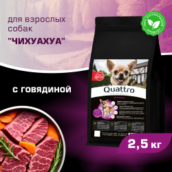 Корм сухой для взрослых собак породы Чихуахуа, с говядиной, 2,5 кг, QUATTRO