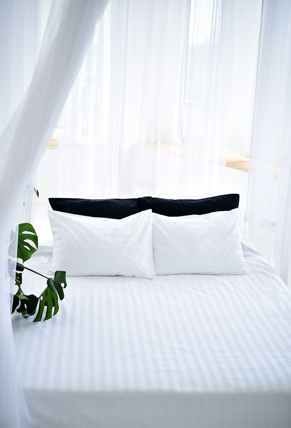 Страйп-Сатин