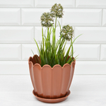 Кашпо Хризантема 2,1л, цвет в ассортименте