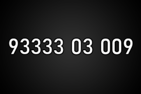 9333303009