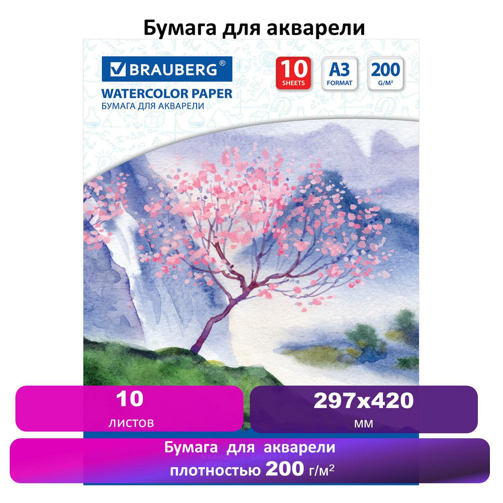 Бумага для акварели БОЛЬШАЯ А3 10 л. 200 г/м2 297х420 мм BRAUBERG "Сакура" (6 штук в упаковке)