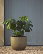 Кашпо Selvi песчаник светло-коричневого цвета  Ø 37 см