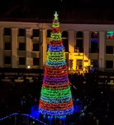 Уличная светодинамическая елка Евро-2 зеленая 10 м., каркасная, ПВХ, Green Trees (GT10EVPVCLED)