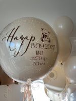 Воздушные шары на выписку Мишка Барни №8503