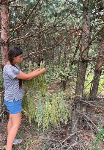 Мастер-классы