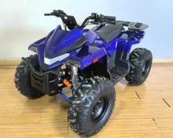 Квадроцикл Green Camel Атакама T630 (72V 2000W R8)