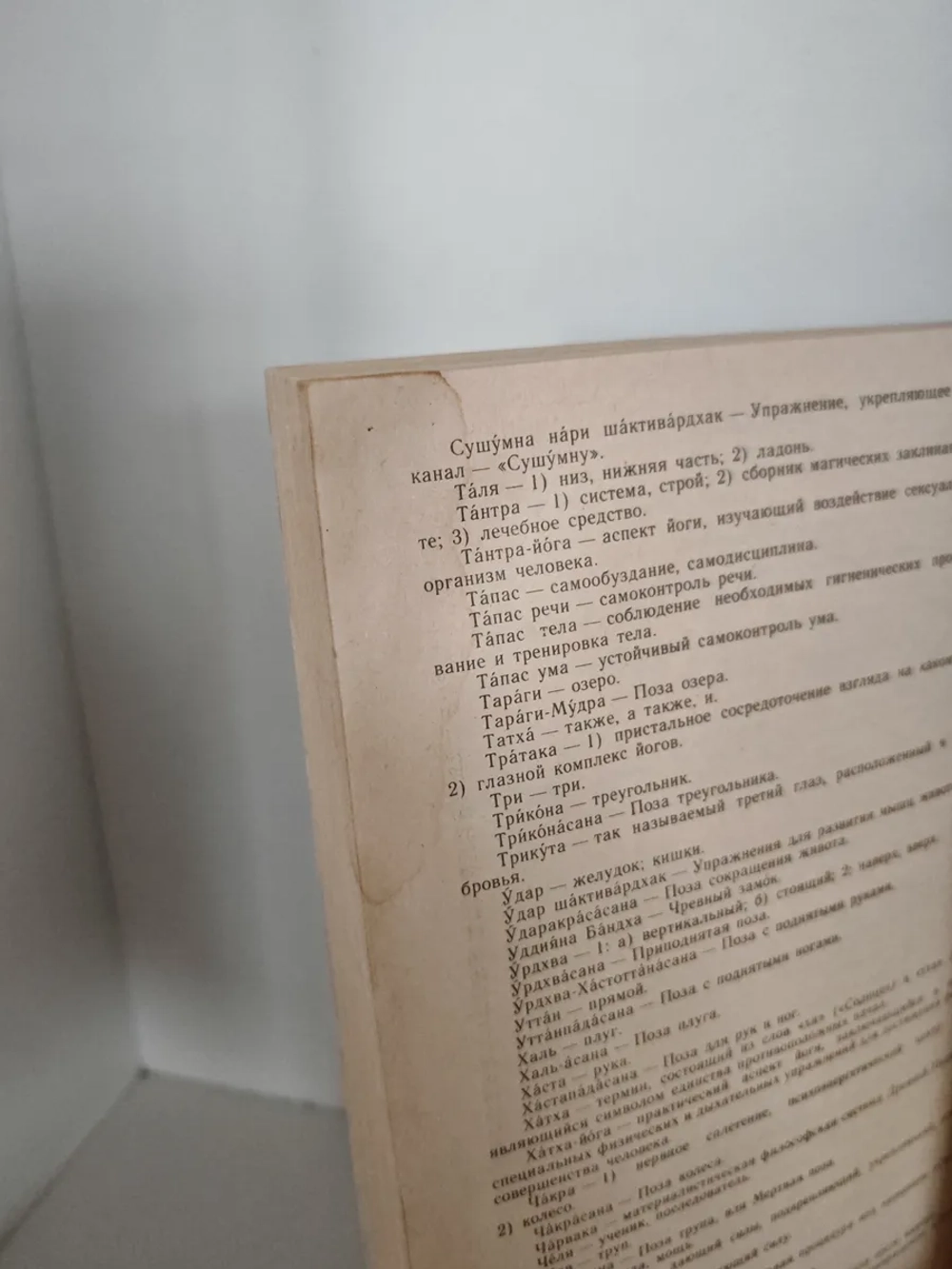 Хатха-йога для начинающих