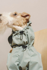 Комбинезон "Пони-комбинезони" мятный