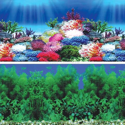 Фон "Водное шоу/Карнавал", 9031/9099, 300*600мм, Laguna AQUA