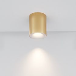 Накладной светильник Maytoni Spark C094-GU10-MG