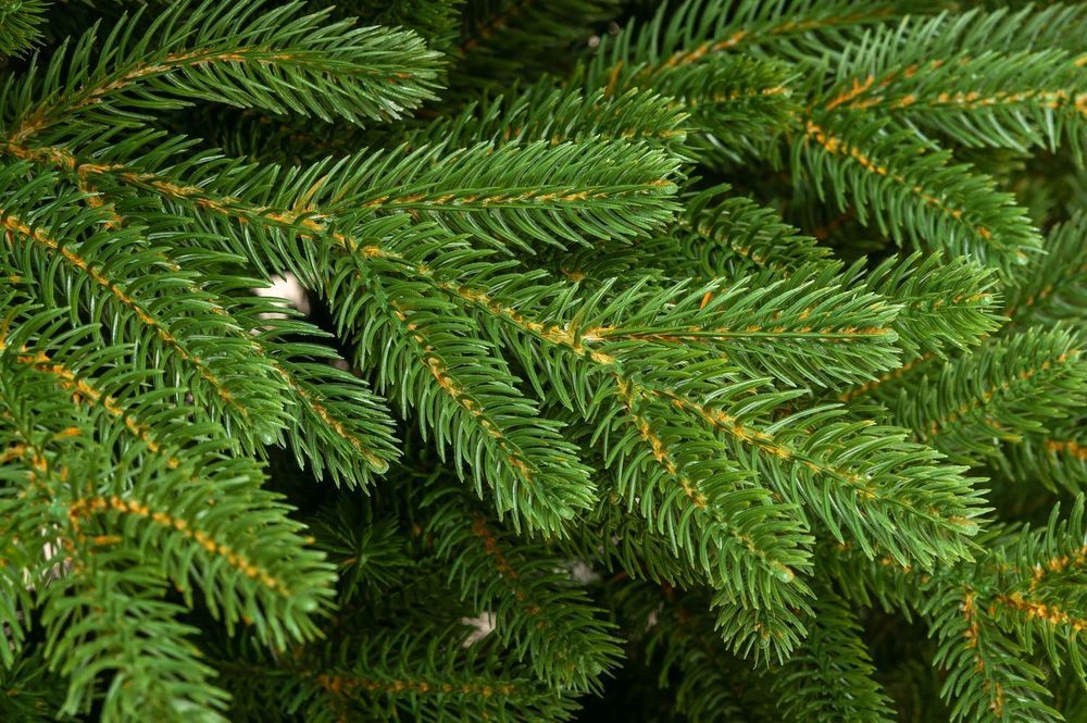 Ель искусственная «Флоренция» (Литая хвоя) 240 см / 2.4 м