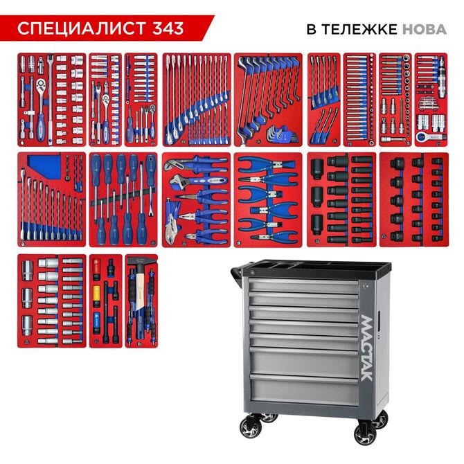 МАСТАК (50-07343G) Набор инструментов 343 предмета, "СПЕЦИАЛИСТ 343", в серой тележке