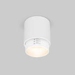 Потолочный светодиодный светильник Cors 25032/LED 10W 4200K белый