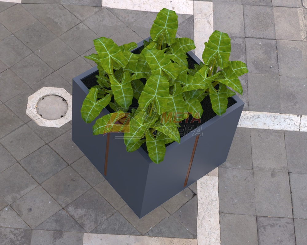 Вазон Агава