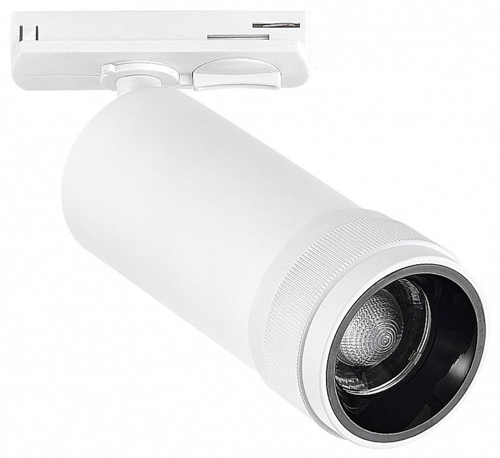 Светильник на штанге ST-Luce BASE ST385.536.20