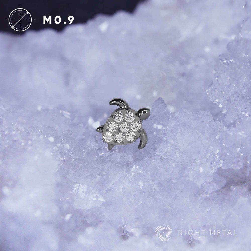 Turtle Crystal