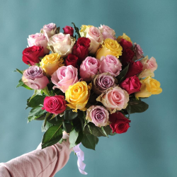 Роза Кения микс 50см