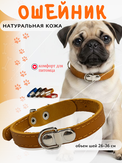 Ошейник кожаный для собак и кошек регулируемый оранжевый