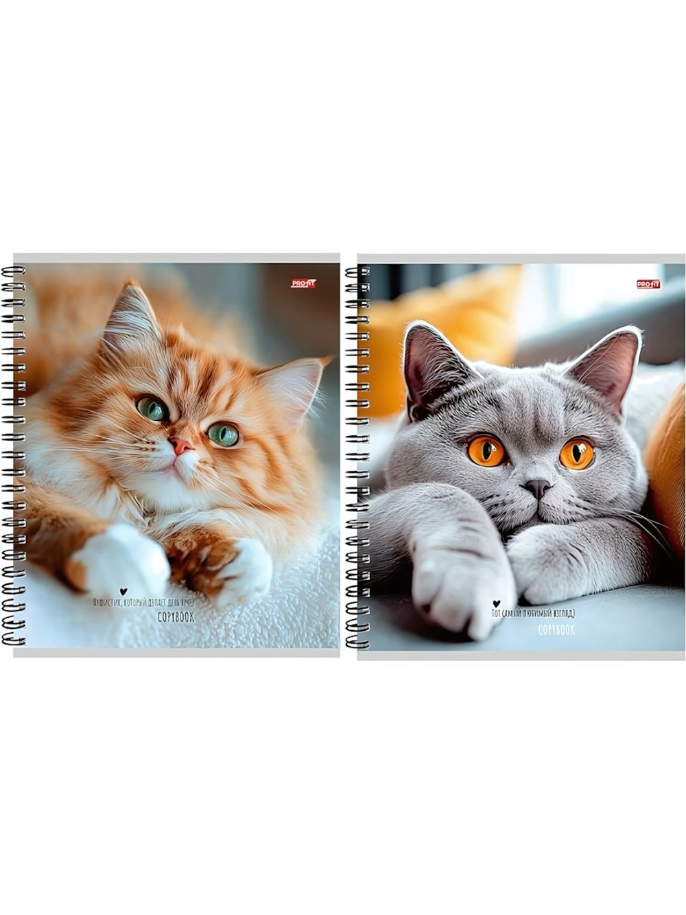 Тетрадь А5 48л. клетка "Милые коты-1" гребень, мелов.облистер (Проф-Пресс)